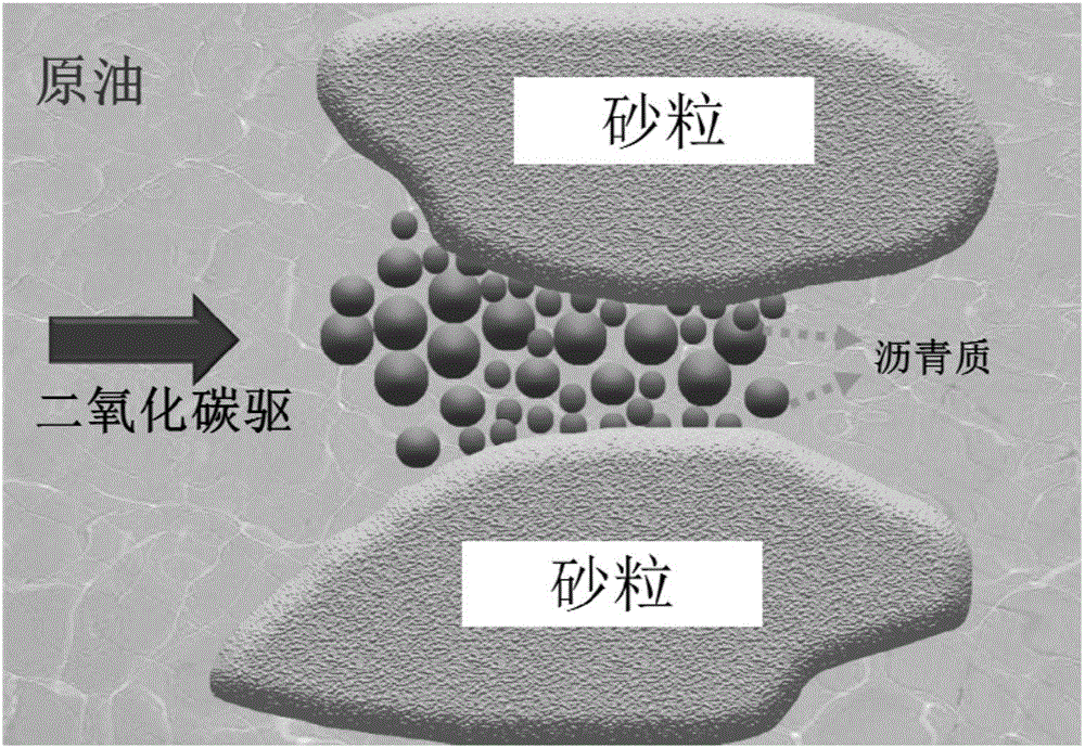 太阳成集团